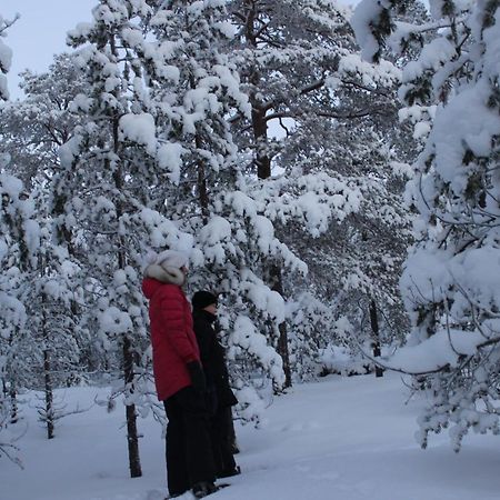 Studio Kaarto Rovaniemi Luaran gambar