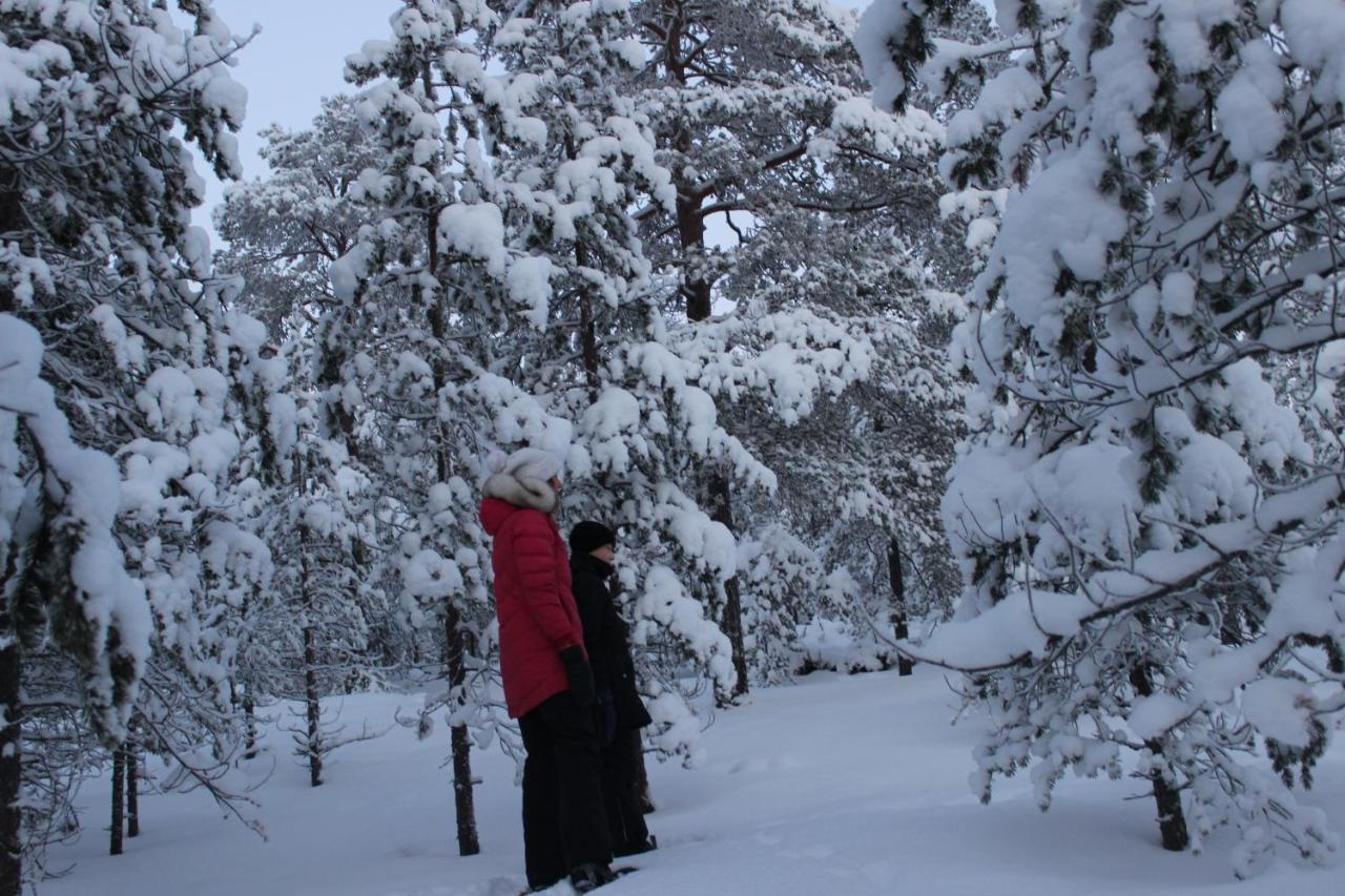 Studio Kaarto Rovaniemi Luaran gambar