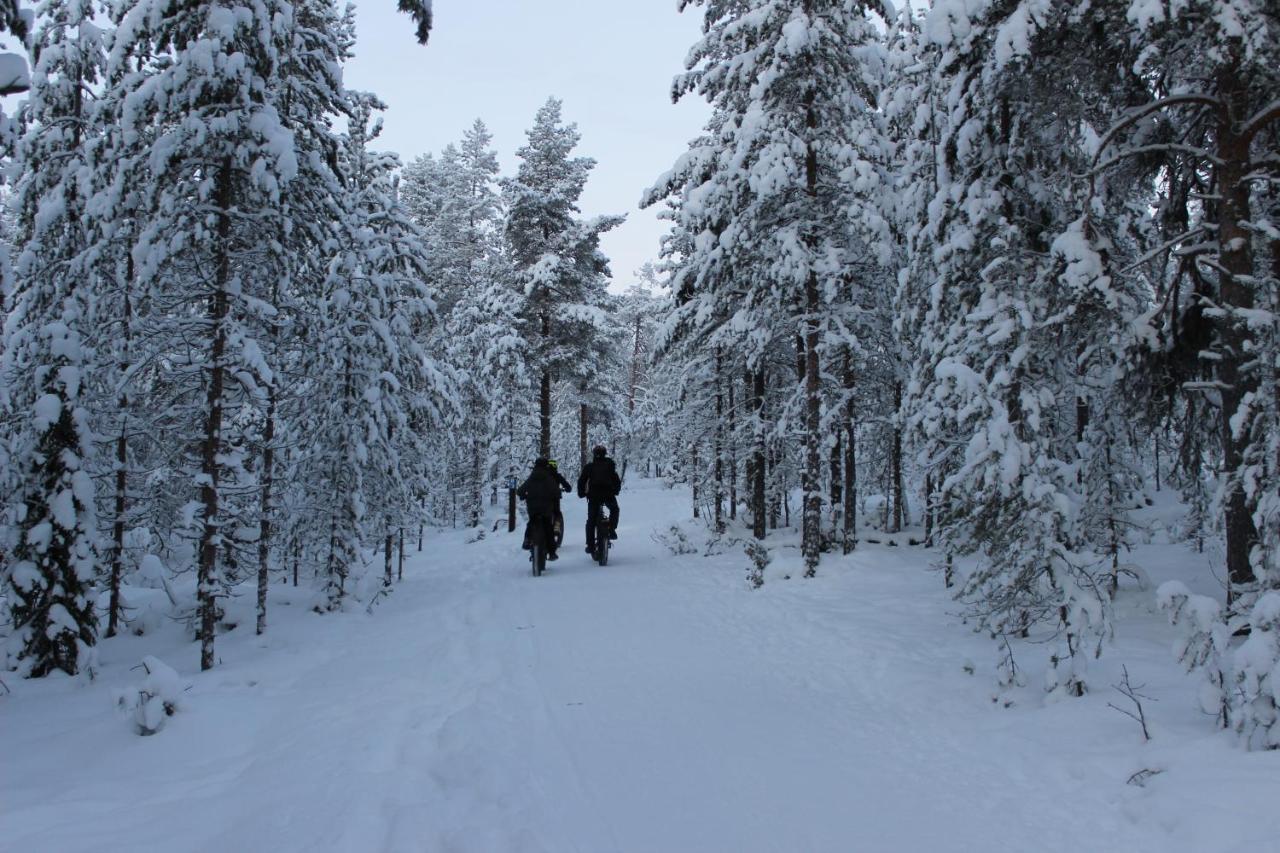 Studio Kaarto Rovaniemi Luaran gambar
